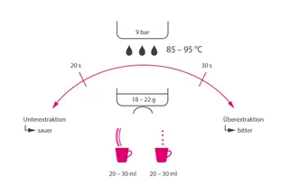 Grafik die darstellt, was eine Unterextraktion und was eine Überextraktion ist.