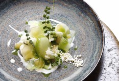 orderbird Kunde Restaurant Gustav Frühlingsgericht