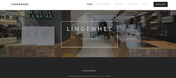 Screenshot Homepage Lingenhel